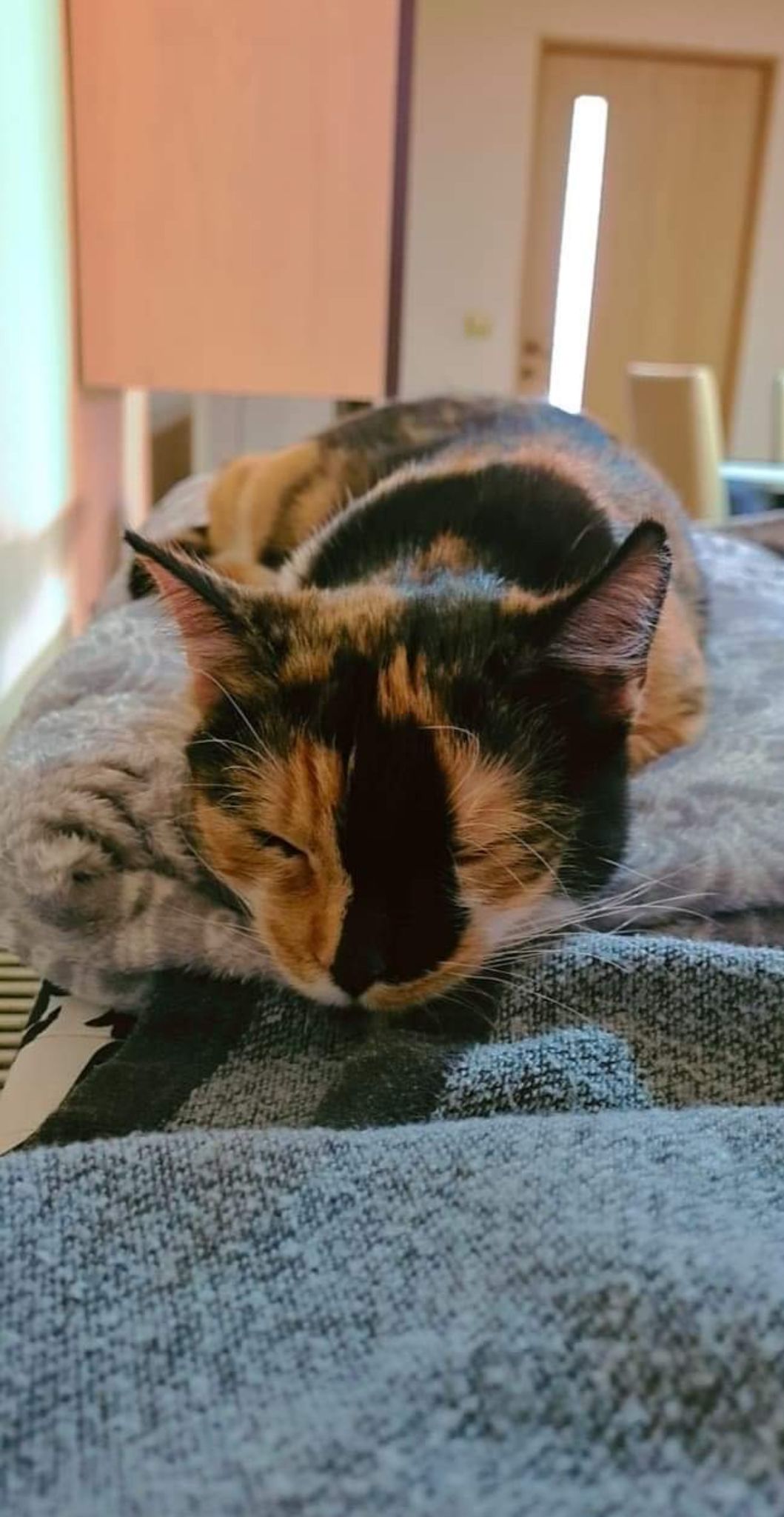 Imagine suplimentară